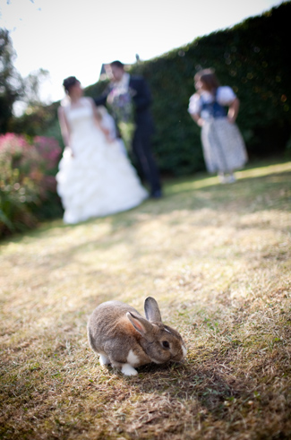 Hochzeitsfotograf Reutlingen